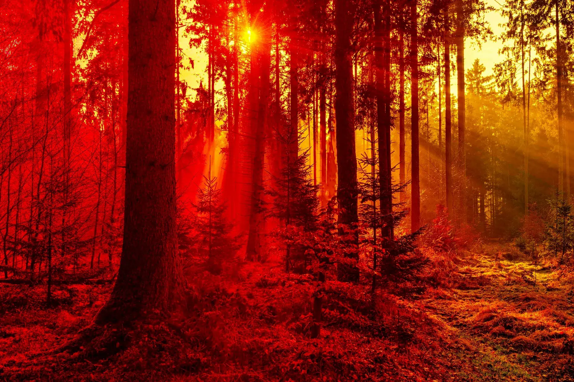Neovim, LazyVim, and the End of neovim-treesitter