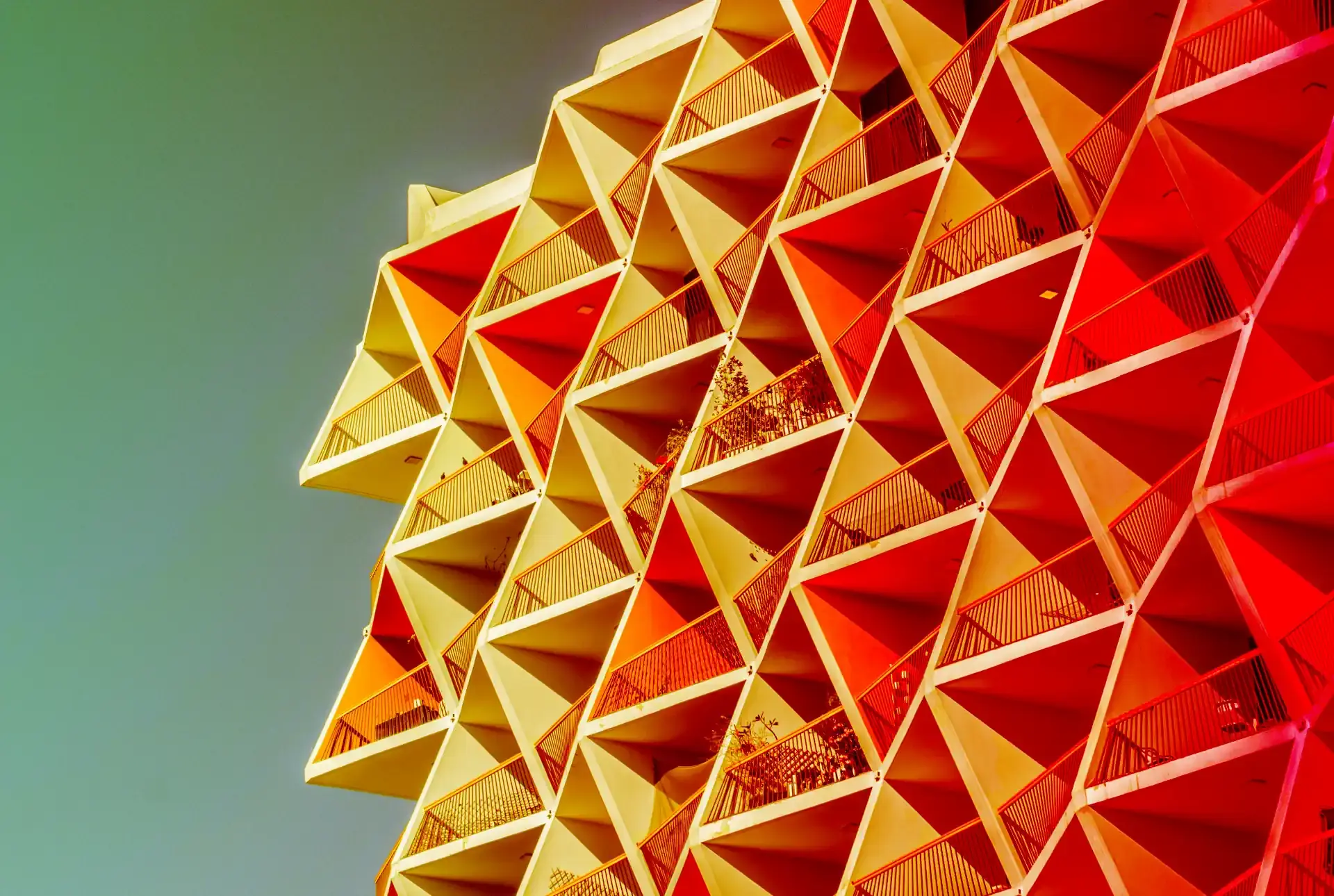 The Architect and the Apprentice: A Story of Guidance and Growth